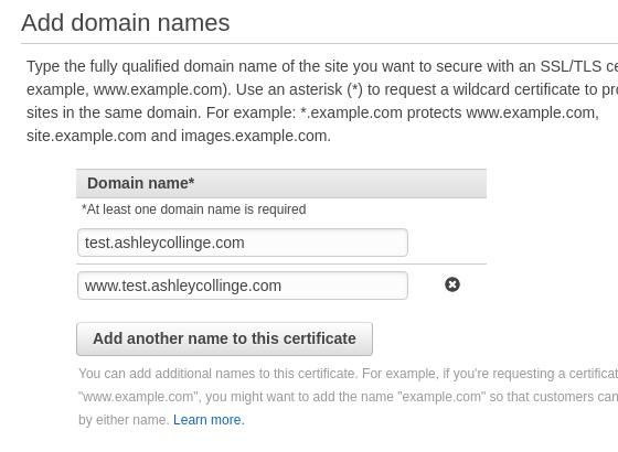 Image here of entered domain names for new cert