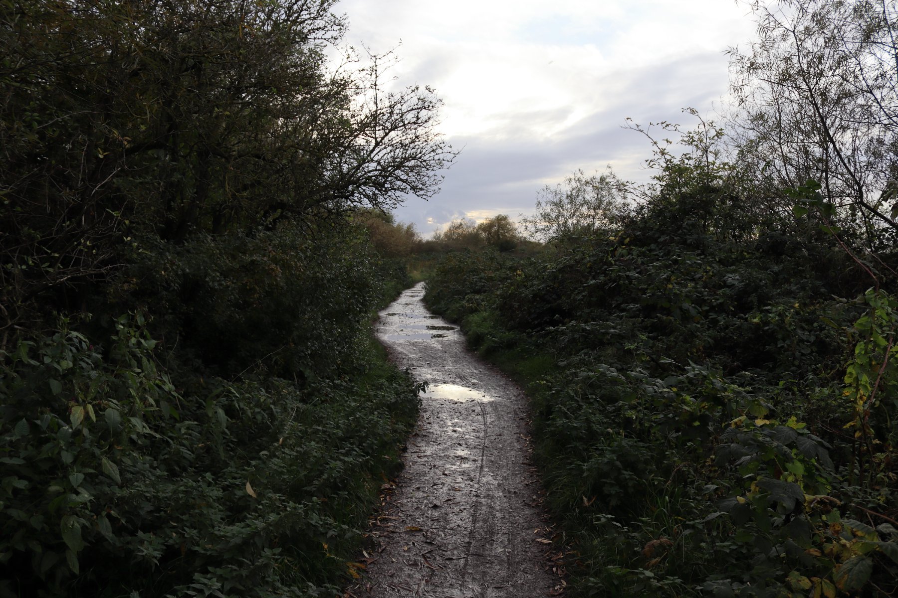 Wet Path